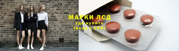 сатива Козловка