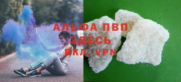 сатива Козловка