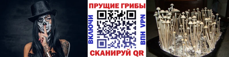 Галлюциногенные грибы Cubensis  Энем 